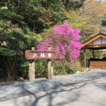 大里郡寄居町桜沢の長福寺と末野の小林禅寺に石塔の戒名彫刻に行きました。